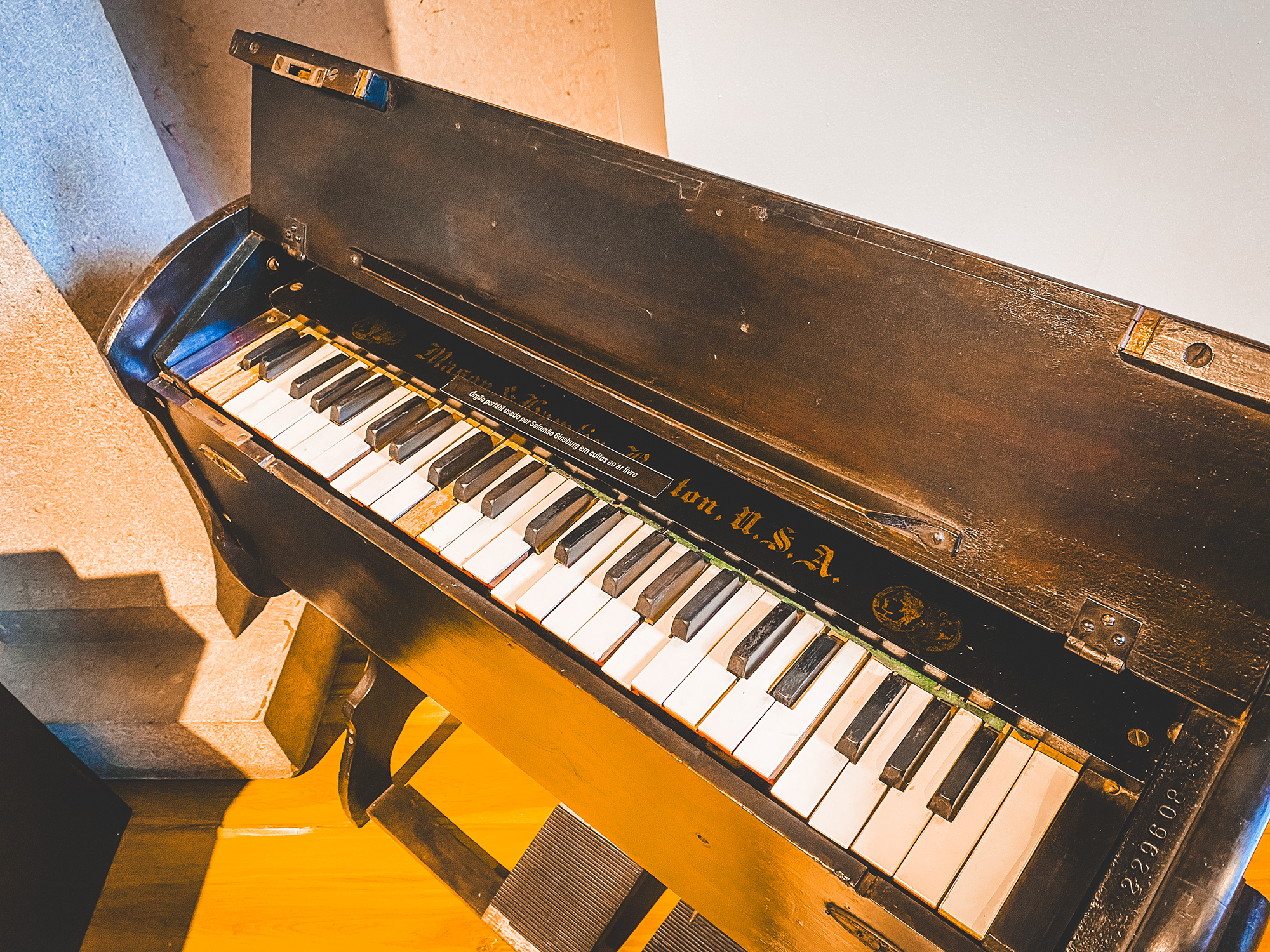 Órgão